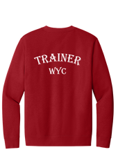 Load image into Gallery viewer, District® V.I.T.™ Trainer